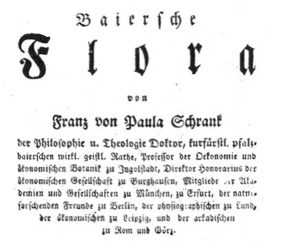Datei:Flora schrank.jpg
