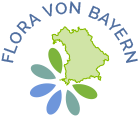 Datei:BFL logo.png