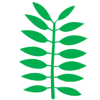 Datei:Blatt paarig-gefiedert.png