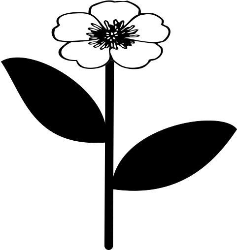 Datei:Krautigepflanzen.svg