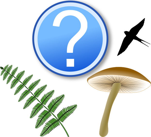 Datei:Determination logo question.svg