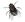 Diptera/Fliegen
