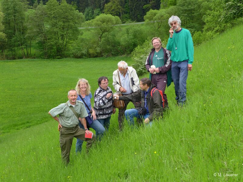 Datei:Lauerer BT 2013-05-16 Schlehenmühle Kartiergr.JPG