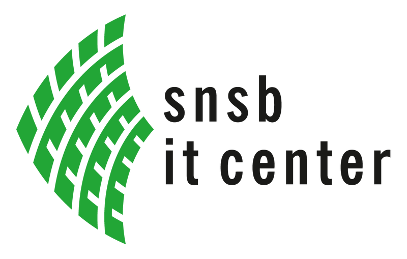Datei:Logo snsb-it rgb.png