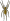 Spinnen