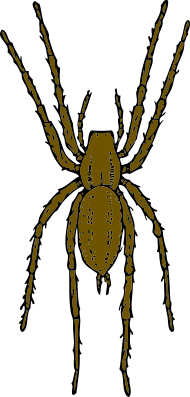 Datei:Brown spider.svg