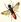 Hymenoptera/Hautflügler