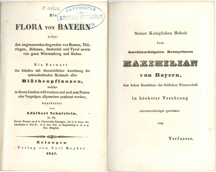 Datei:Schnizlein 1847 Widmung.png