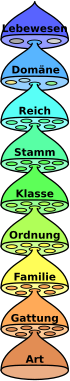 Artenliste