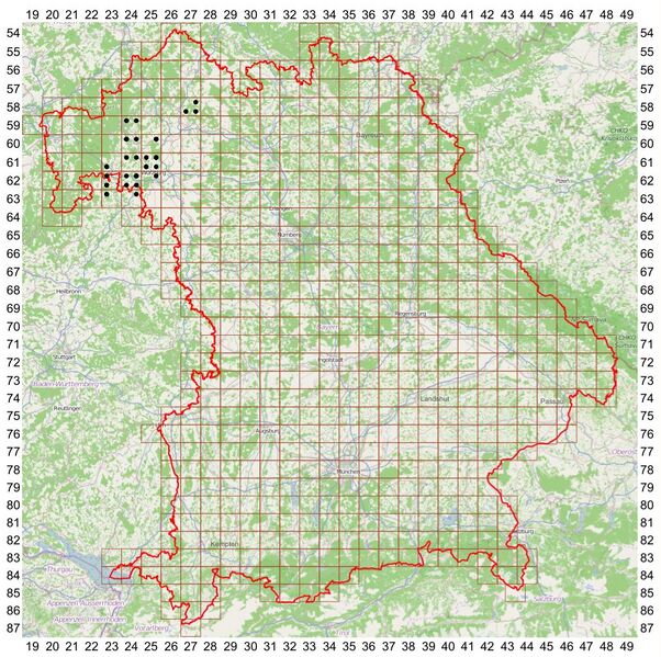 Datei:Bayern Raster-Pub.JPG