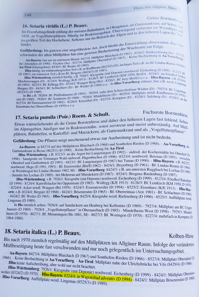 Datei:Flora Allgäu Setaria italica.png