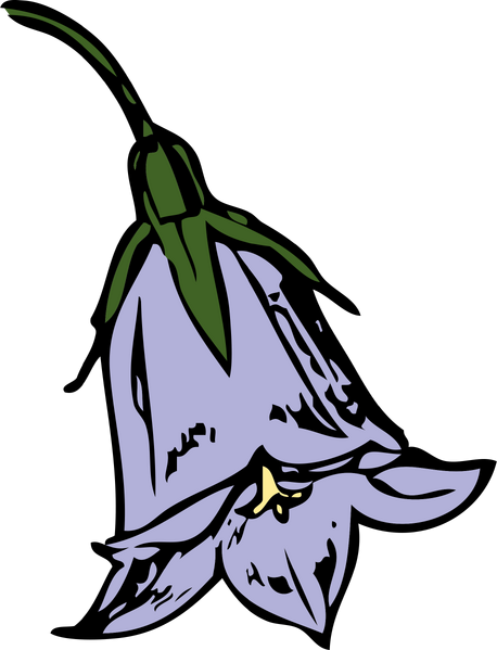 Datei:Openclipart plant johnny automatic harebell.png