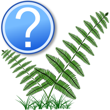 Datei:Determination logo ferns question.svg