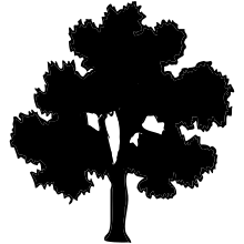 Datei:Silhouette leaf tree.svg