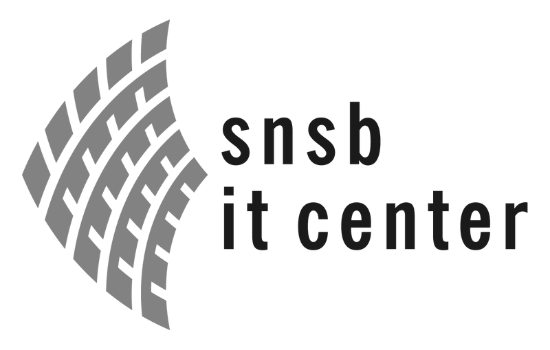 Datei:Snsb-it logo sw.png