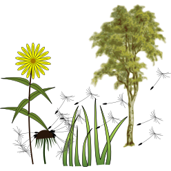 Datei:Logo vascular plants.svg